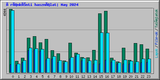 Óránkénti használat: May 2024