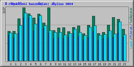 Óránkénti használat: Július 2024