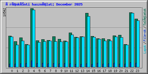 Óránkénti használat: December 2025